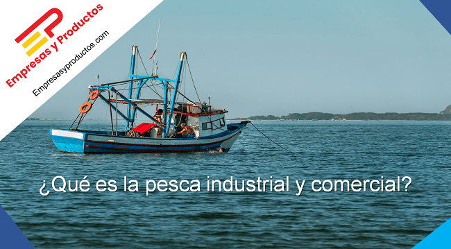 ¿Qué es la pesca industrial y comercial?