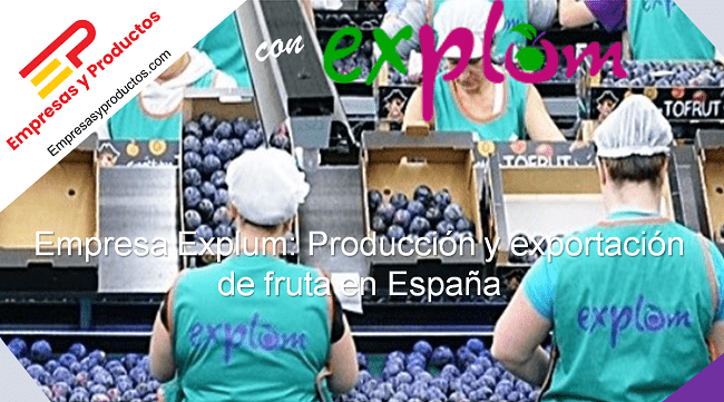 Empresa Explum producción y exportación de fruta en Espña