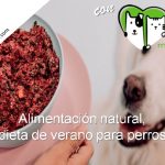 Alimentación natural, dieta de verano para perros