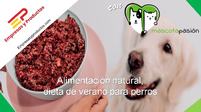 alimentación natural dieta de verano para perros
