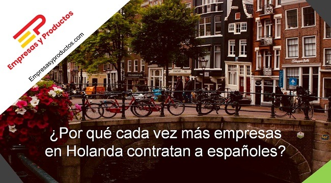 Por qué cada vez más empresas en Holanda contratan a españoles