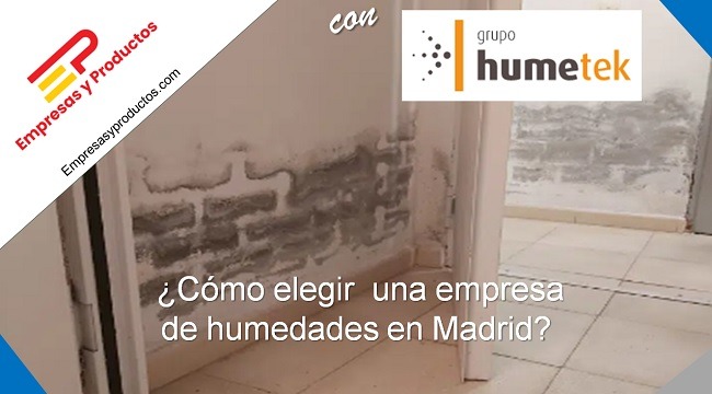 cómo elegir una empresa de humedades en Madrid