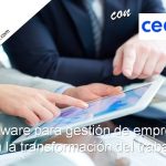 Software para gestión de empresas en la transformación del trabajo