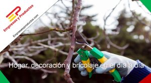 hogar decoración bricolaje en día a día