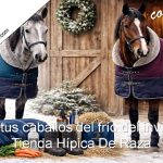 tienda hípica online